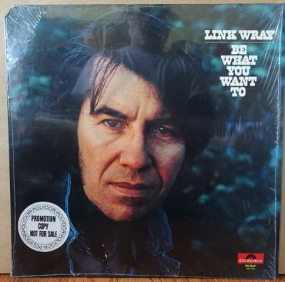 LINK WRAY - Be What You Want To