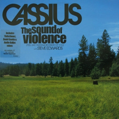 CASSIUS WITH STEVE EDWARDS - The Sound Of Violence (Feel Like I Wanna Be Inside Of You)