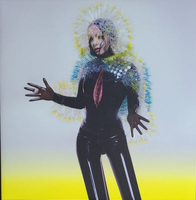 BJORK - Vulnicura