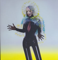 BJORK - Vulnicura