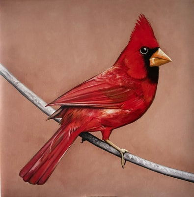 ALEXISONFIRE - Old Crows / Young Cardinals