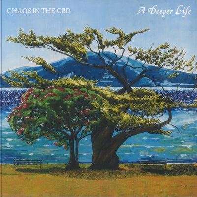 CHAOS IN THE CBD - A Deeper Life