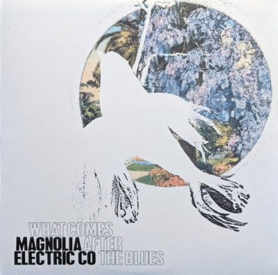 MAGNOLIA ELECTRIC CO. - What Comes After The Blues
