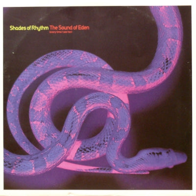 SHADES OF RHYTHM - The Sound of Eden (Every Time I See Her) / Armageddon