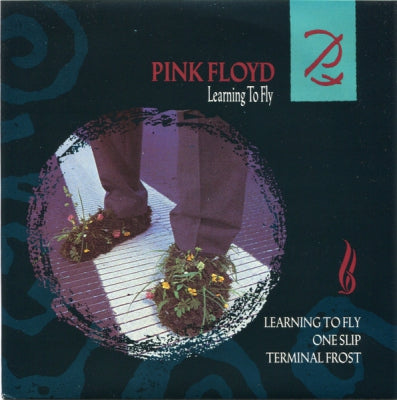 PINK FLOYD - Learning To Fly
