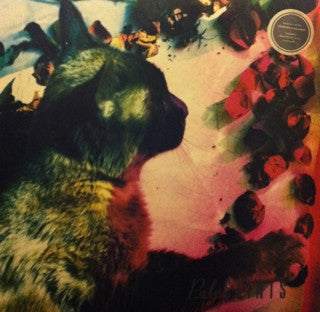 PALE SAINTS - The Comforts Of Madness