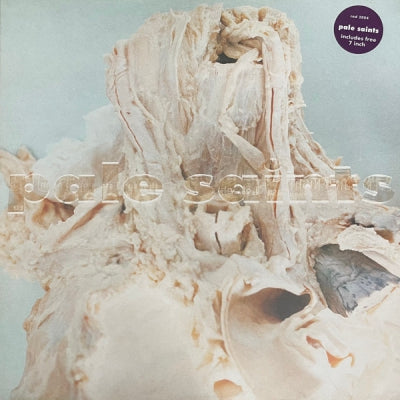 PALE SAINTS - In Ribbons