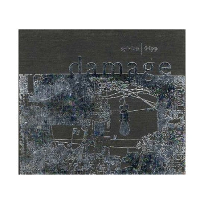 DAVID SYLVIAN and ROBERT FRIPP - Damage