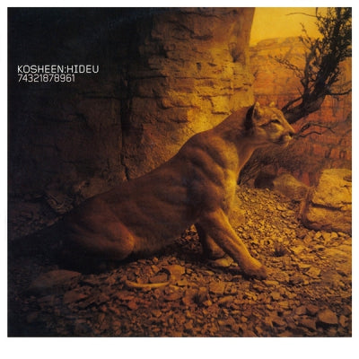 KOSHEEN - Hide U