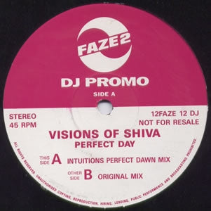 VISIONS OF SHIVA - Perfect Day