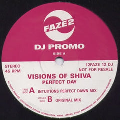 VISIONS OF SHIVA - Perfect Day