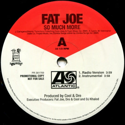 FAT JOE - So Much More