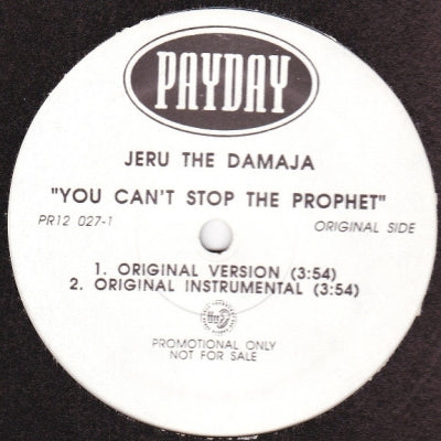 JERU THE DAMAJA - You Can't Stop The Prophet