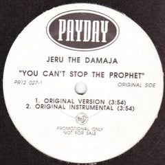 JERU THE DAMAJA - You Can't Stop The Prophet