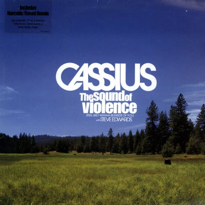 CASSIUS WITH STEVE EDWARDS - The Sound Of Violence (Feel Like I Wanna Be Inside Of You)