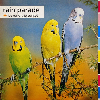 RAIN PARADE - Beyond The Sunset