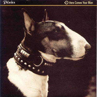 PIXIES - Here Comes Your Man