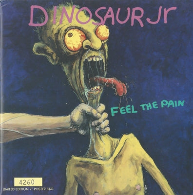 DINOSAUR JR. - Feel The Pain