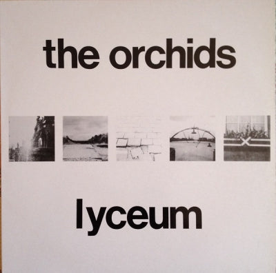 THE ORCHIDS - Lyceum