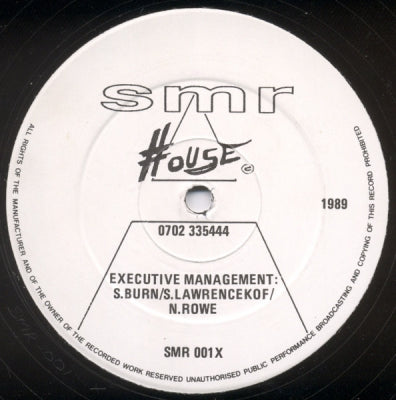 MARK SUMMERS - Melt Your Body / Your Love Is Mixed