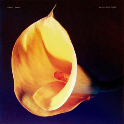 SWANS  - Saved