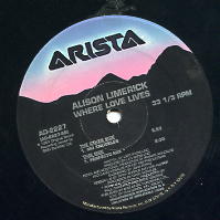 ALISON LIMERICK - Where Love Lives
