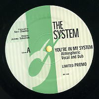 THE SYSTEM - You're In My System