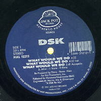DSK - What Would We Do / Read My Lips