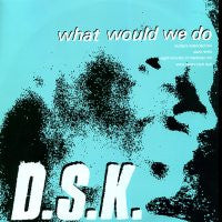 DSK - What Would We Do?