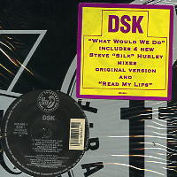 DSK - What Would We Do / Read My Lips
