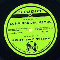 STUDIO X - Los Kings Del Mambo / Join The Tribe