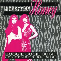 A TASTE OF HONEY - Boogie Oogie Oogie / We've Got The Groove