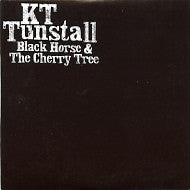 KT TUNSTALL - Black Horse & The Cherry Tree