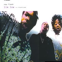 NEW FLESH - Lie Low