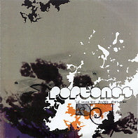 VARIOUS - Poptones Compilation 2005