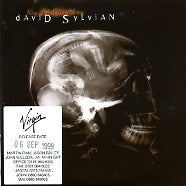 DAVID SYLVIAN - Godman