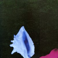 NEW ORDER - Touched By The Hand Of God