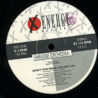 PARADISE ORCHESTRA FEATURING MELVIN HUDSON - Satisfy Your Dream