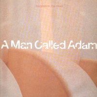 A MAN CALLED ADAM - Barefoot In The Head