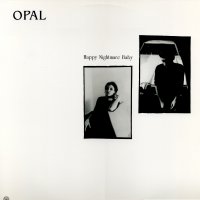 OPAL - Happy Nightmare Baby