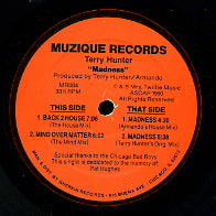 TERRY HUNTER - Madness
