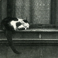 TINDERSTICKS - City Sickness