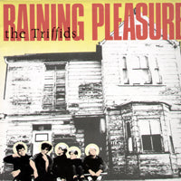 THE TRIFFIDS - Raining Pleasure