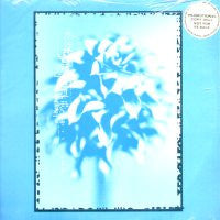 PLACID ANGLES - The Cry