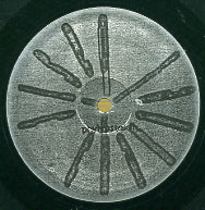 BASIC CHANNEL - Phylyps Trak II