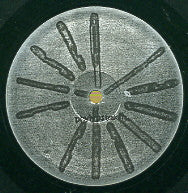 BASIC CHANNEL - Phylyps Trak II