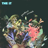 THE IT - Rainforest Serenade