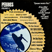 VARIOUS - Pebbles Volume 4