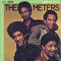 THE METERS - Look-Ka Py Py