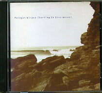 POLYGON WINDOW - Surfing on Sine Waves